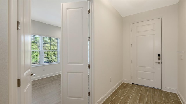 foyer entrance with baseboards and wood tiled floor
