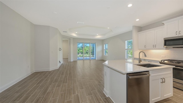 kitchen with wood finish floors, open floor plan, a tray ceiling, stainless steel appliances, and a sink