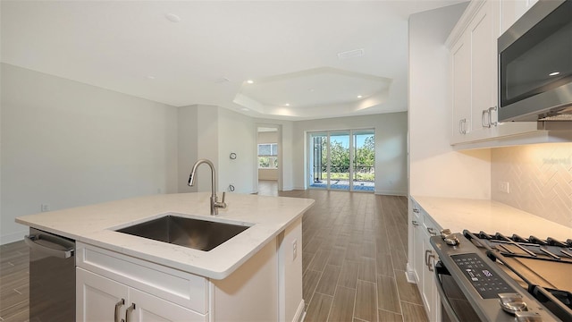 kitchen with backsplash, wood tiled floor, appliances with stainless steel finishes, a raised ceiling, and a sink