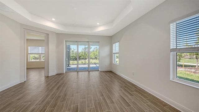 spare room with a raised ceiling, a healthy amount of sunlight, baseboards, and wood finish floors
