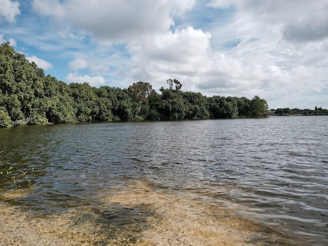 view of water feature