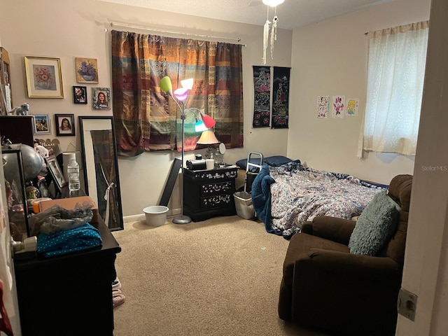 bedroom featuring carpet