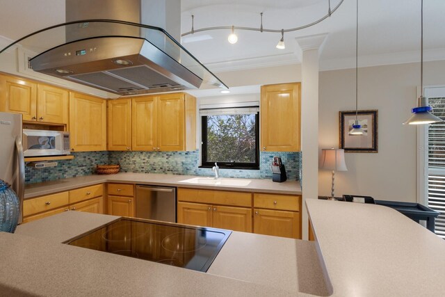 kitchen featuring crown molding, decorative backsplash, appliances with stainless steel finishes, island range hood, and a sink