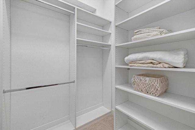 view of spacious closet