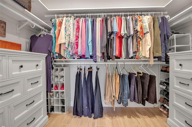 spacious closet with light wood-type flooring