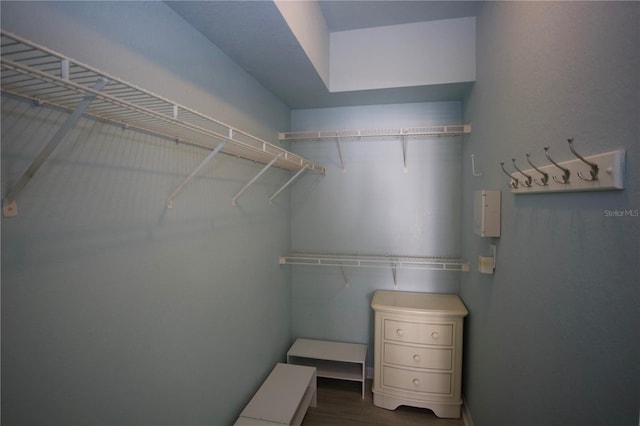 spacious closet featuring dark wood-style flooring