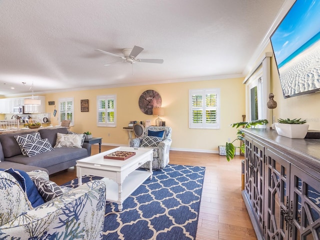 living area with a ceiling fan, wood finished floors, baseboards, ornamental molding, and a textured ceiling