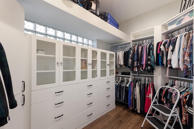 spacious closet featuring wood finished floors