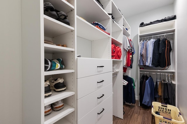 walk in closet featuring wood finished floors