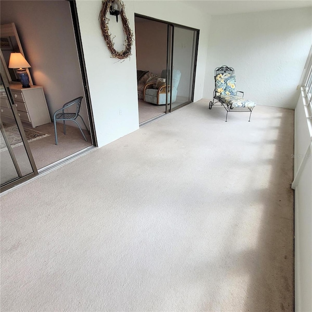 interior space with carpet flooring and a closet