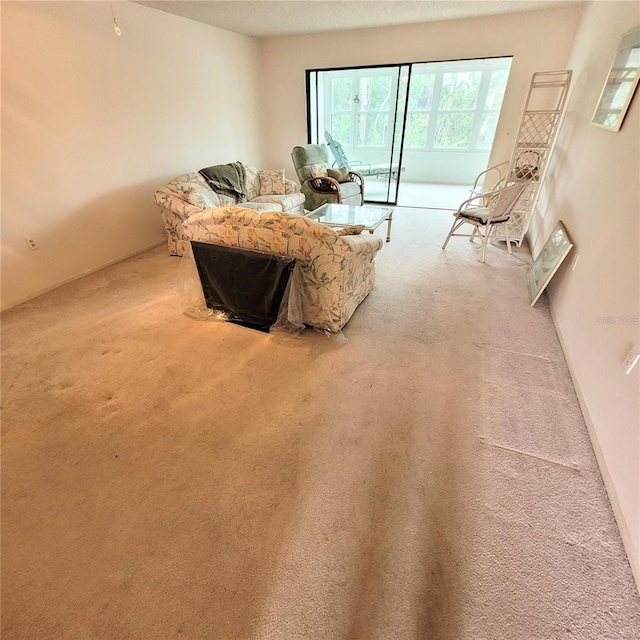 view of carpeted living area