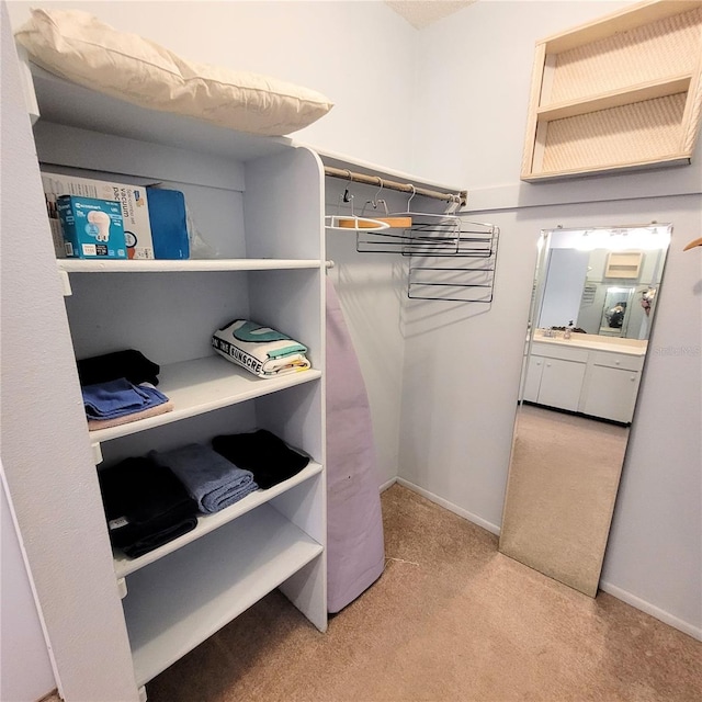 walk in closet with light carpet