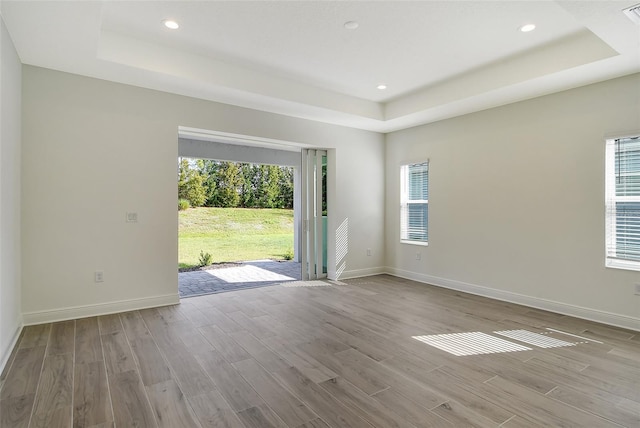 spare room with a raised ceiling, wood finished floors, a healthy amount of sunlight, and baseboards