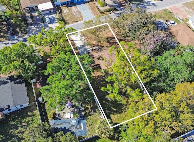 124 E 119th Ave, Tampa, FL 33612 - drone / aerial view