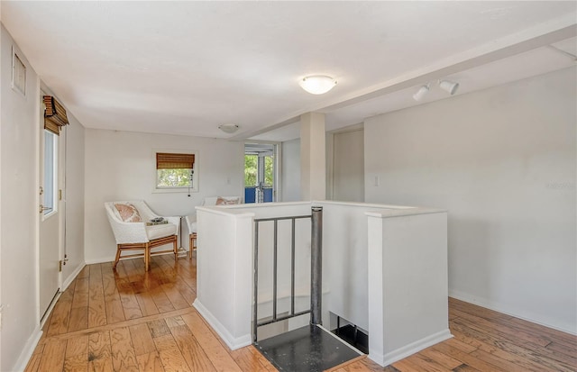 433 N Osprey Ave, Sarasota, FL 34236 - photo 26