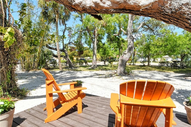 433 N Osprey Ave, Sarasota, FL 34236 - photo 39