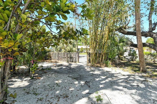 433 N Osprey Ave, Sarasota, FL 34236 - photo 68
