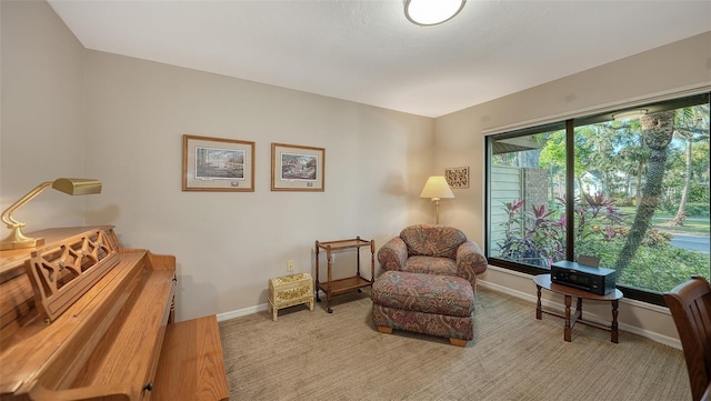 living area with carpet flooring and baseboards