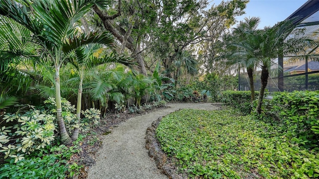 view of yard with a lanai