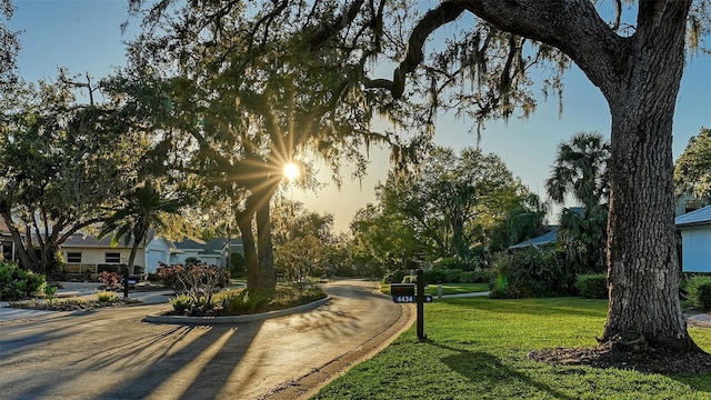 view of community with a lawn