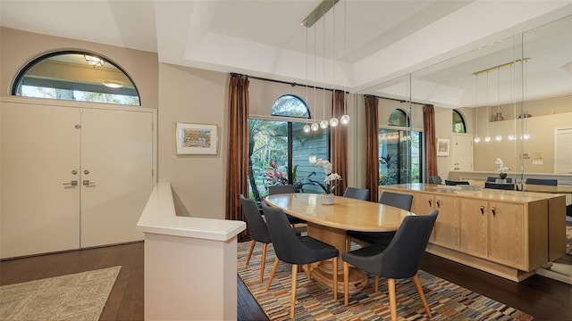 dining area featuring dark wood-style floors and a tray ceiling