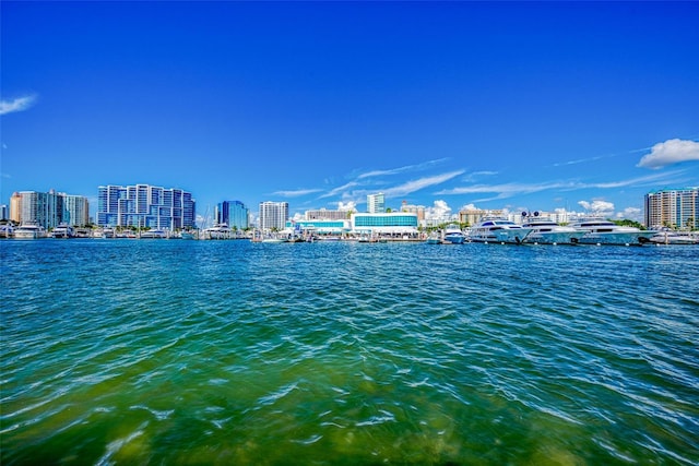 property view of water featuring a view of city