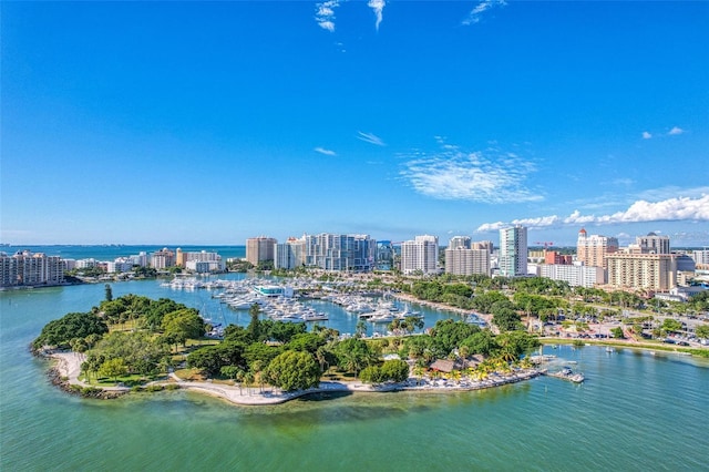 aerial view with a water view and a city view