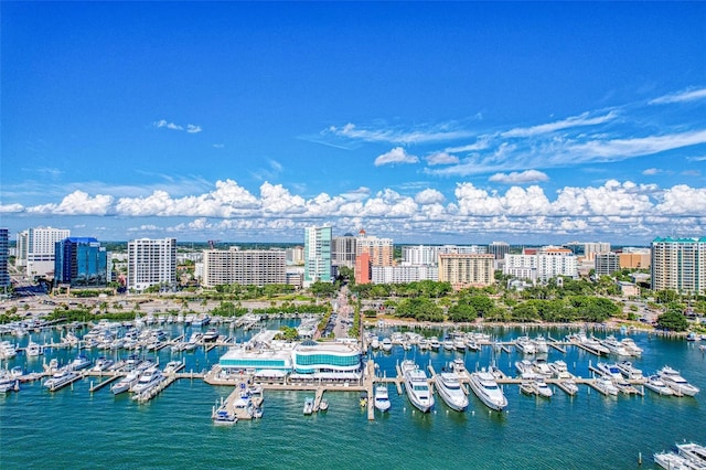 birds eye view of property with a view of city and a water view