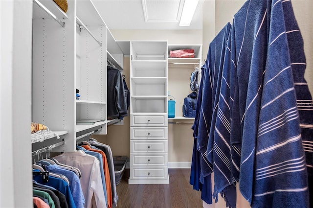 walk in closet featuring dark wood finished floors and attic access