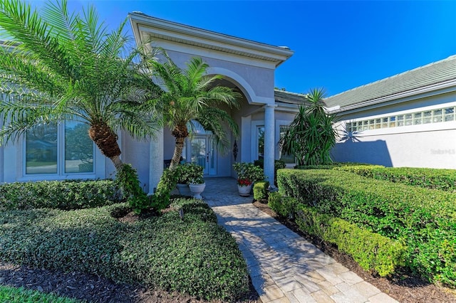 doorway to property with a tile roof and stucco siding