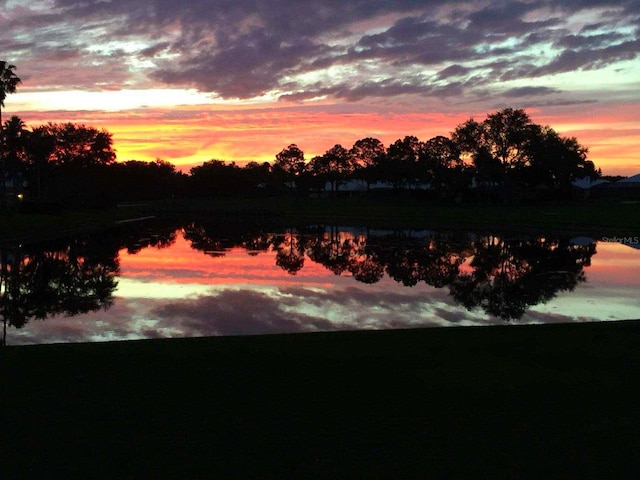 view of yard with a water view