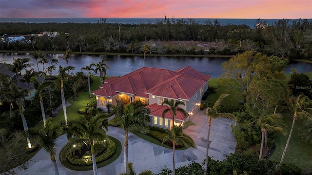 drone / aerial view featuring a water view