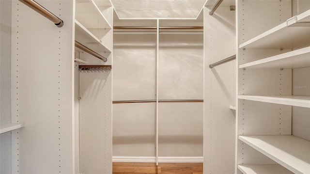 spacious closet featuring wood finished floors