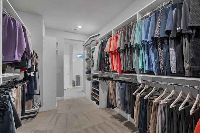 spacious closet with carpet