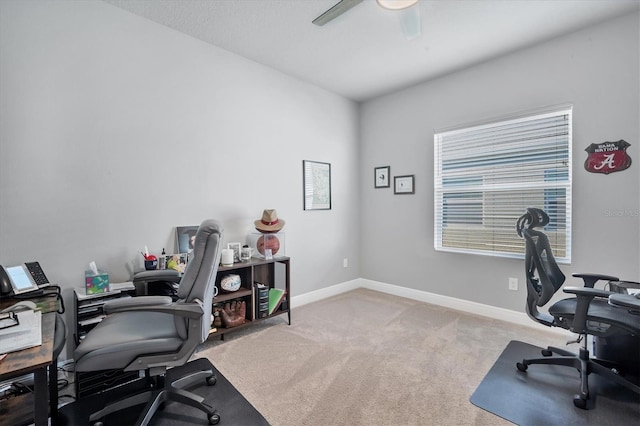 office space featuring a ceiling fan, carpet, and baseboards