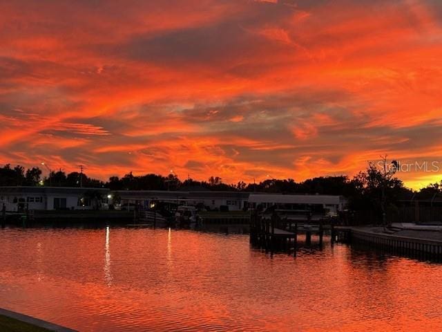 property view of water with a dock