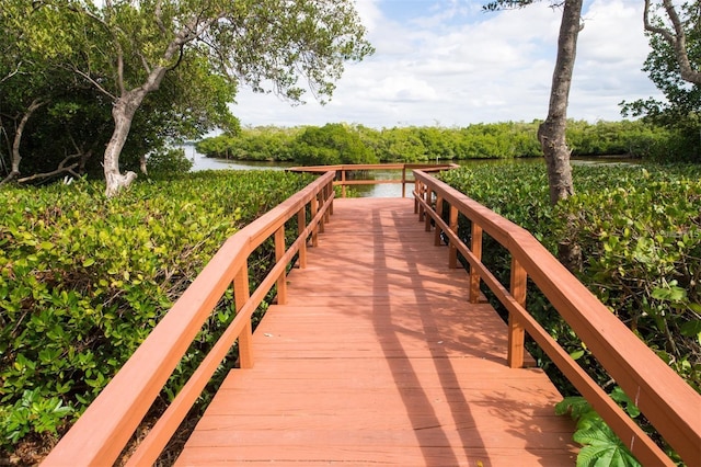 dock area with a water view