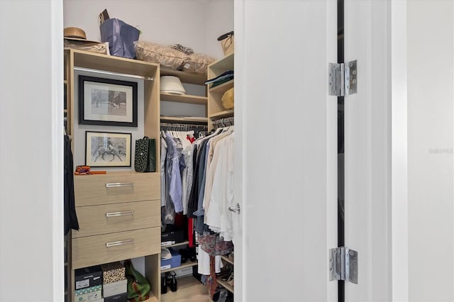 view of walk in closet