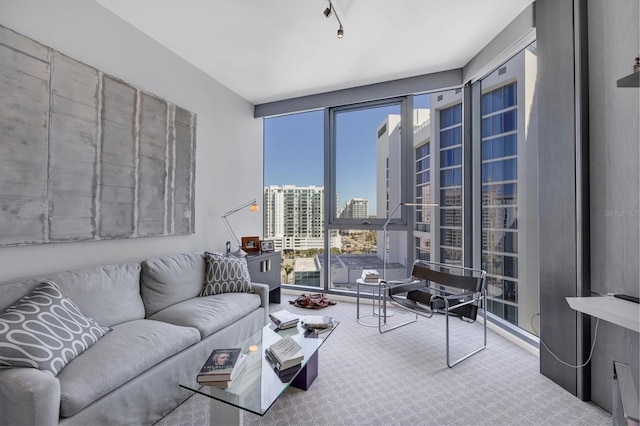 carpeted living area with a city view