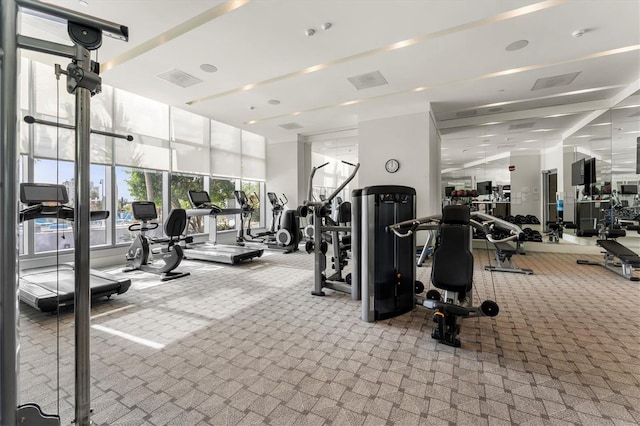 exercise room featuring carpet flooring