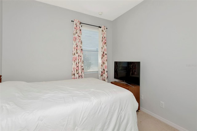 718 Tanana Fall Dr, Ruskin, FL 33570 - photo 21