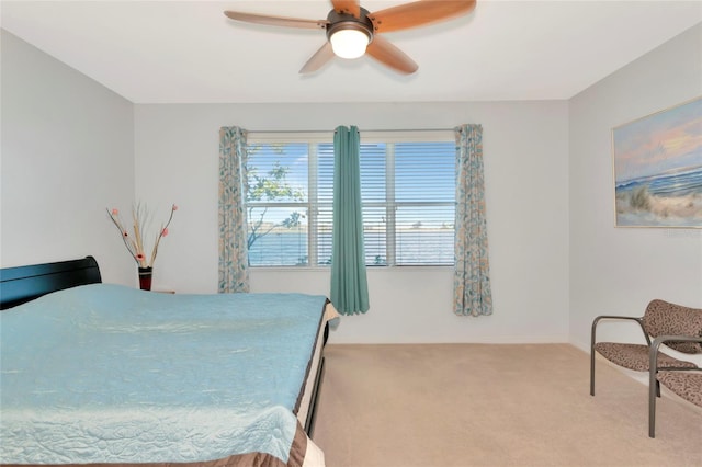 718 Tanana Fall Dr, Ruskin, FL 33570 - photo 28