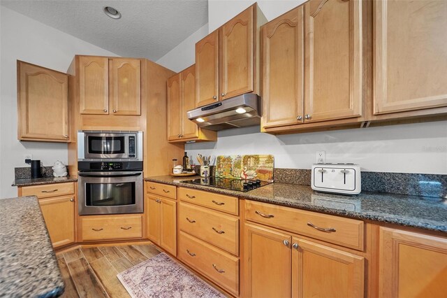 2114 147th Ct E, Bradenton, FL 34212 - kitchen with dark stone counters, light wood-style flooring, vaulted ceiling, appliances with stainless steel finishes, and under cabinet range hood