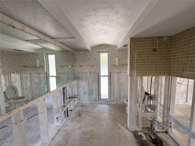 interior space featuring toilet, a healthy amount of sunlight, vaulted ceiling, and a textured ceiling