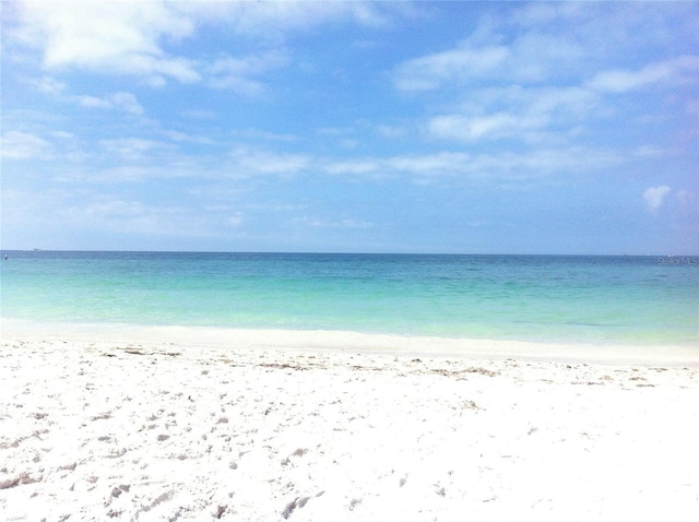 water view featuring a beach view