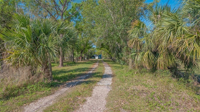 view of street featuring driveway