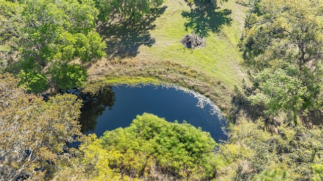 drone / aerial view with a water view and a view of trees