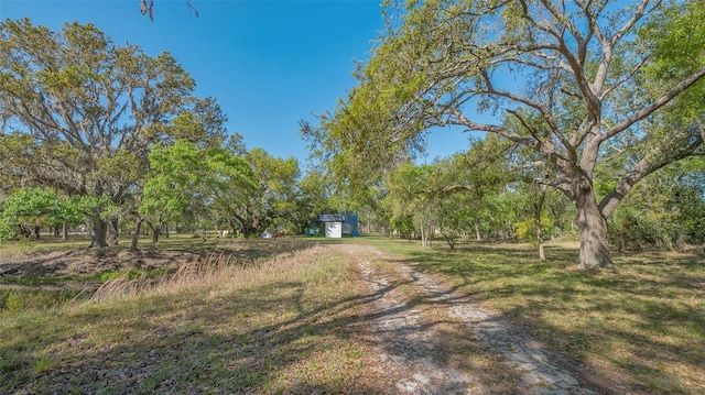 view of yard featuring dirt driveway