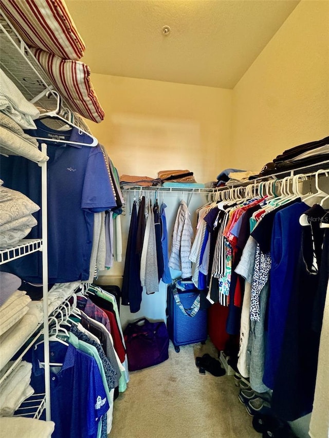 spacious closet featuring carpet flooring