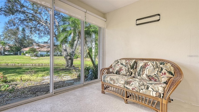 sitting room with carpet and a water view